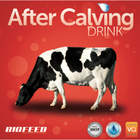 AFTER CALVING DRINK BIOFEED...